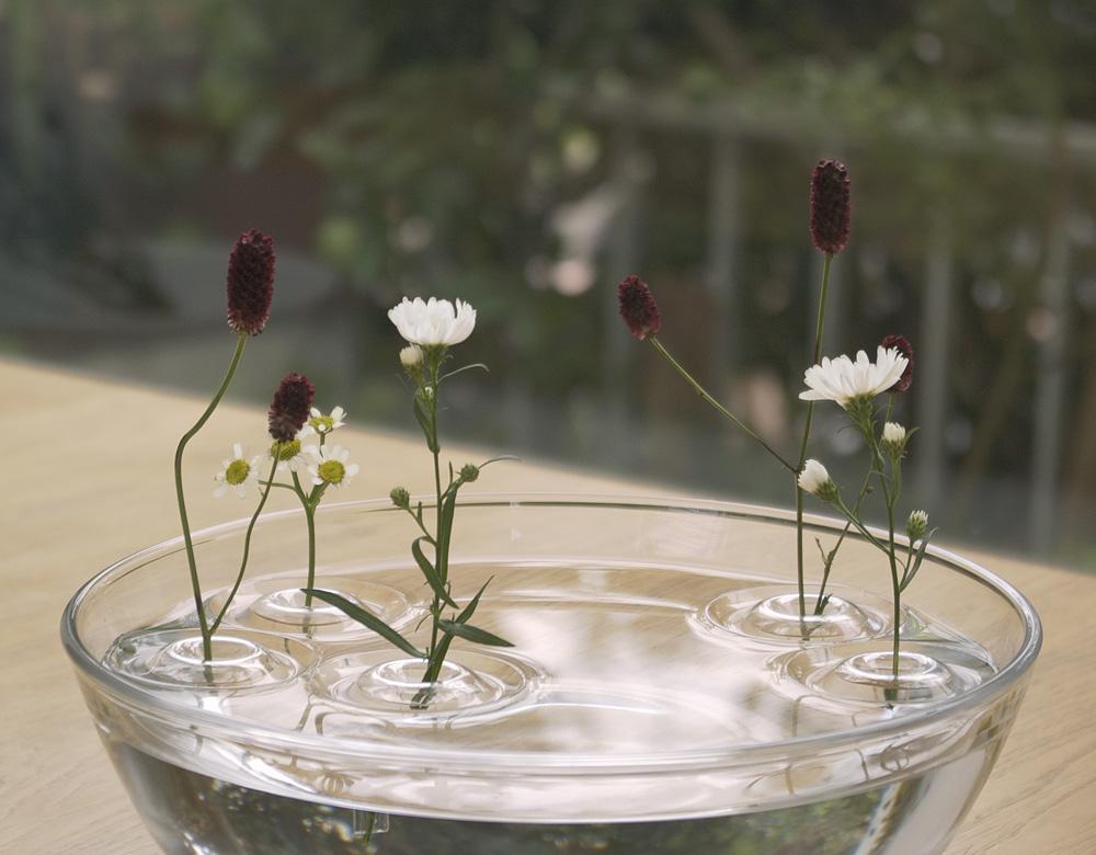 Floating vase: Unanchored, happy life